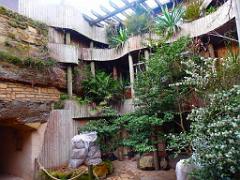 149 BIO PARC DE DOUE LA FONTAINE 2- 2016_000008